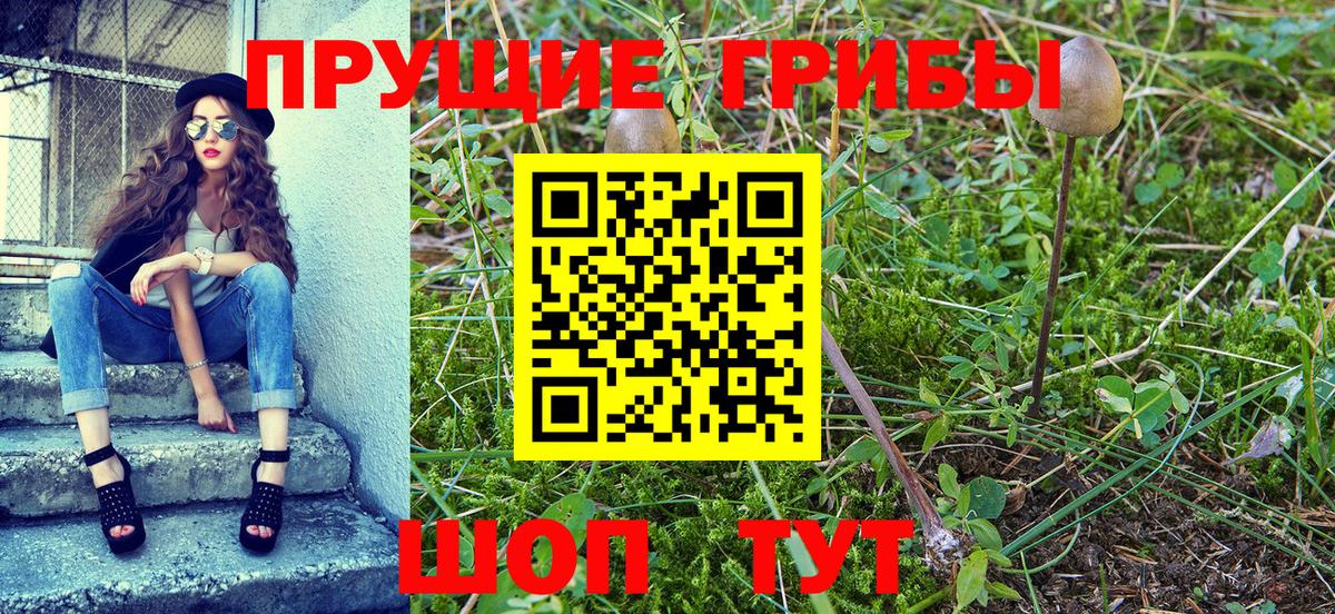 Псилоцибиновые грибы GOLDEN TEACHER Новоалтайск